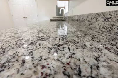 3210 Covenant Road, Columbia, SC 29204 - Photo 9