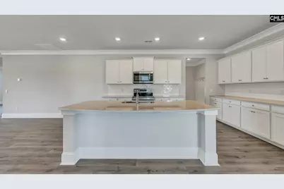 225 Sunny Stream Drive, Chapin, SC 29054 - Photo 3