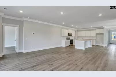 225 Sunny Stream Drive, Chapin, SC 29054 - Photo 13