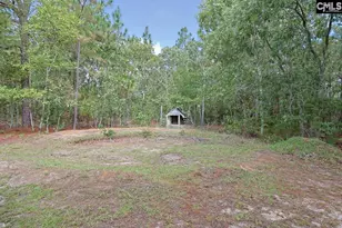 141 Casper St, Pelion, SC 29123 - Photo 13