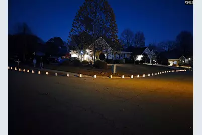 113 Water Crest Drive, Lexington, SC 29072 - Photo 45