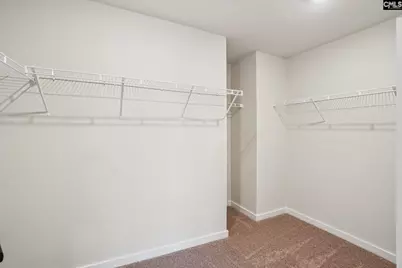 2125 Duck Lettuce Court, Gilbert, SC 29054 - Photo 11