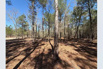 Bhl 15 Boise Cascade Road #BHL 15, Bethune, SC 29009 - Photo 7