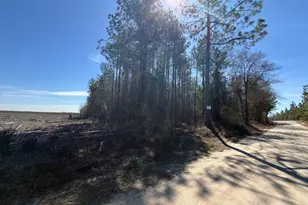 Bhl 15 Boise Cascade Rd, Bethune, SC 29009 - Photo 1