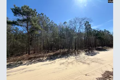 Bhl 15 Boise Cascade Road #BHL 15, Bethune, SC 29009 - Photo 5