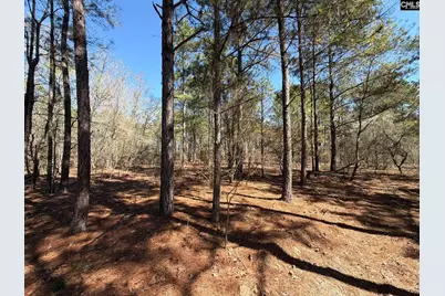 Bhl 15 Boise Cascade Road #BHL 15, Bethune, SC 29009 - Photo 11