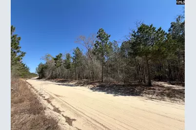 Bhl 15 Boise Cascade Road #BHL 15, Bethune, SC 29009 - Photo 3