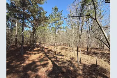 Bhl 15 Boise Cascade Road #BHL 15, Bethune, SC 29009 - Photo 13