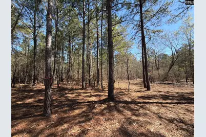 Bhl 15 Boise Cascade Road #BHL 15, Bethune, SC 29009 - Photo 9