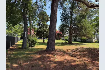1303 Elmore Street, Columbia, SC 29203 - Photo 9
