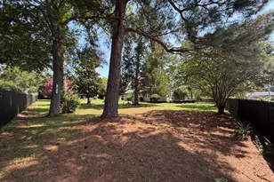 1303 Elmore St, Columbia, SC 29203 - Photo 1