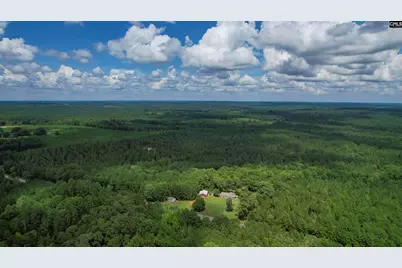 5540 State Hwy 215 North, Blair, SC 29015 - Photo 83