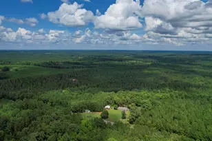 5540 State Hwy 215 N, Blair, SC 29015 - Photo 83