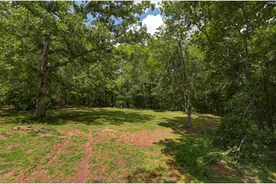5540 State Hwy 215 North, Blair, SC 29015 - Photo 75