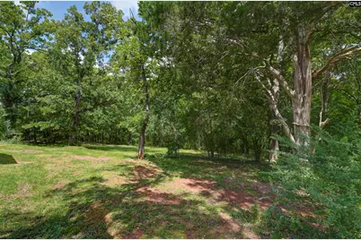 5540 State Hwy 215 North, Blair, SC 29015 - Photo 51
