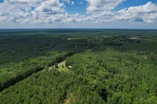5540 State Hwy 215 N, Blair, SC 29015 - Photo 73