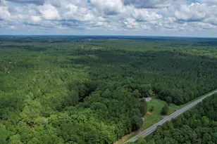 5540 State Hwy 215 N, Blair, SC 29015 - Photo 55
