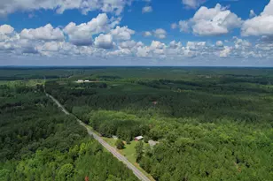 5540 State Hwy 215 N, Blair, SC 29015 - Photo 77