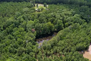5540 State Hwy 215 N, Blair, SC 29015 - Photo 69