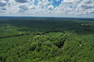 5540 State Hwy 215 N, Blair, SC 29015 - Photo 81