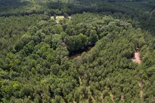 5540 State Hwy 215 N, Blair, SC 29015 - Photo 79