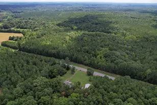 5540 State Hwy 215 N, Blair, SC 29015 - Photo 45