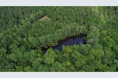 5540 State Hwy 215 North, Blair, SC 29015 - Photo 47