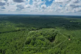 5540 State Hwy 215 N, Blair, SC 29015 - Photo 43