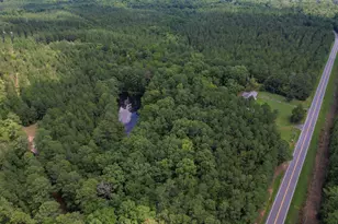 5540 State Hwy 215 N, Blair, SC 29015 - Photo 53