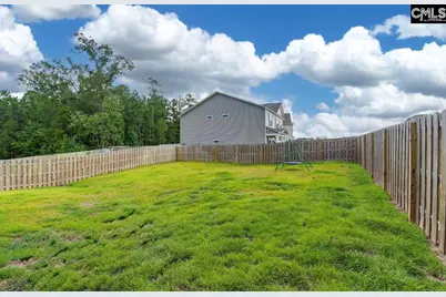 295 Chesapeake Drive, Chapin, SC 29036 - Photo 17