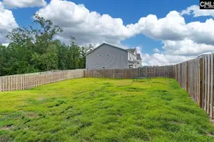295 Chesapeake Dr, Chapin, SC 29036 - Photo 17
