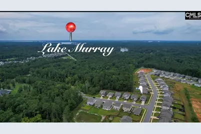 295 Chesapeake Drive, Chapin, SC 29036 - Photo 13