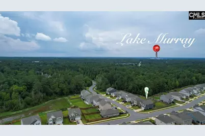 295 Chesapeake Drive, Chapin, SC 29036 - Photo 11