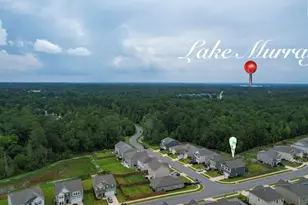 295 Chesapeake Dr, Chapin, SC 29036 - Photo 11