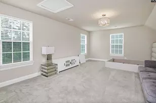 1024 Beechfern Cir, Elgin, SC 29045 - Photo 43