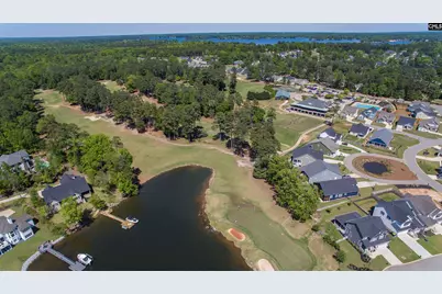 333 Oxenbridge Way, Chapin, SC 29036 - Photo 5