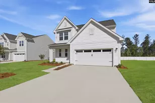 534 Old Charleston Rd, Pelion, SC 29123 - Photo 3