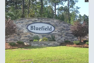 3554 Stedding Place, Lexington, SC 29073 - Photo 9