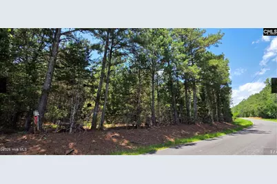 20 Acres Chestnut Ridge Road, McCormick, SC 29835 - Photo 1