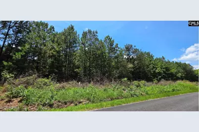 20 Acres Chestnut Ridge Road, McCormick, SC 29835 - Photo 3