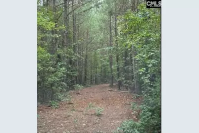10 Acres Old Edgefield Road, Ninety Six, SC 29666 - Photo 3