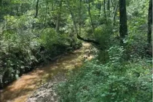 10 Acres Old Edgefield Rd, Ninety Six, SC 29666 - Photo 1