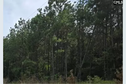 5 Acres Old Edgefield Road, Ninety Six, SC 29666 - Photo 1
