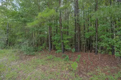 Fulmer Road, Blythewood, SC 29016 - Photo 21