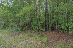 Fulmer Rd, Blythewood, SC 29016 - Photo 21