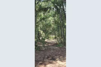 6 Acres Woodberry Lane, North Augusta, SC 29841 - Photo 5