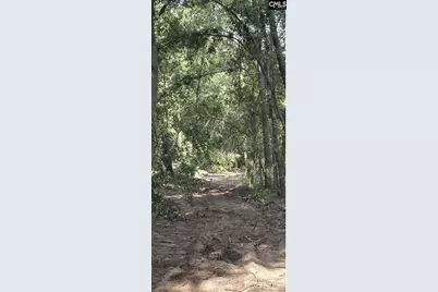 7 Acres Woodberry Lane, North Augusta, SC 29841 - Photo 5