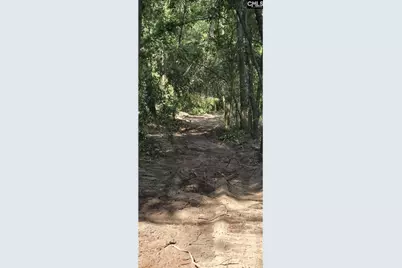 7 Acres Woodberry Lane, North Augusta, SC 29841 - Photo 3