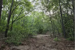 7 Acres Woodberry Ln, North Augusta, SC 29841 - Photo 1