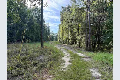469 Brodie Road, Leesville, SC 29070 - Photo 17